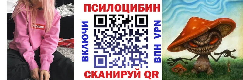 Купить закладки  Пущино  Галлюциногенные грибы Psilocybe 